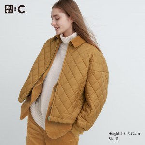 Chaquetas Uniqlo Warm Padded Blouson Mujer Marrones | 156-CYBZPR