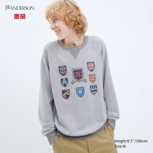 Sudadera con Capucha Uniqlo College Sweatshirt Hombre Gris | 719-ZIAHOK